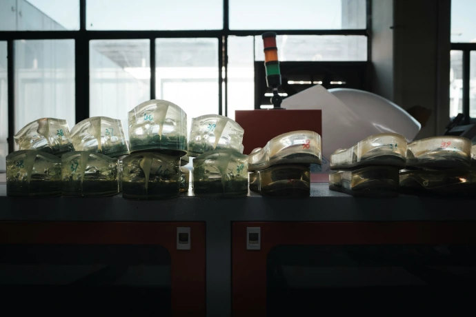 Several glass objects lined up on a shelf.